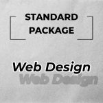 website design standard package